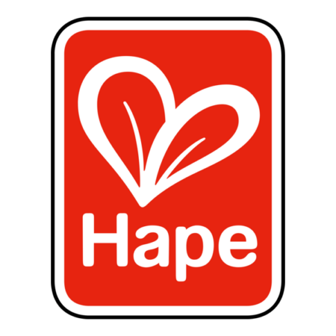 Hape Toys Logo Png Seeklogo 509623